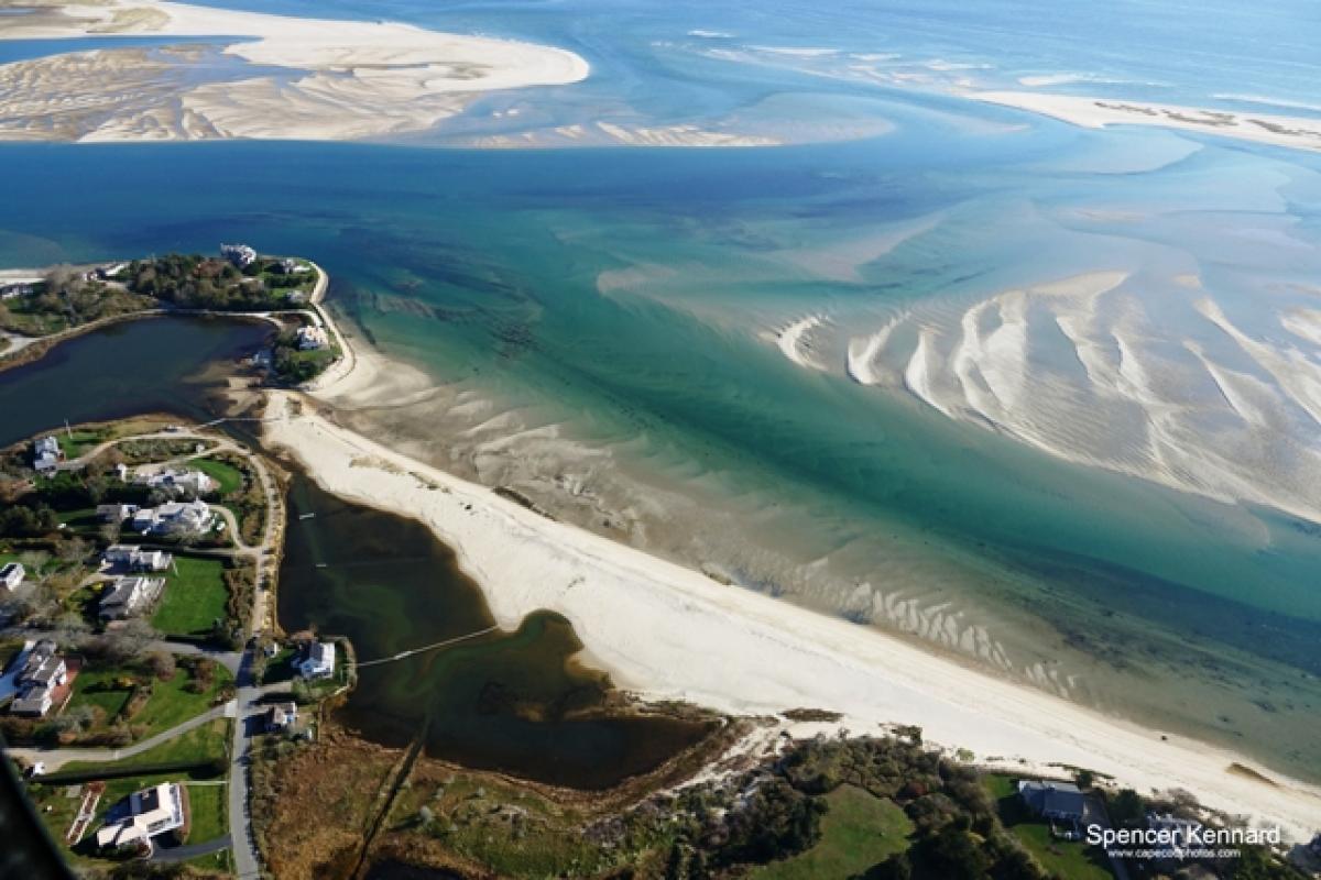 Cow Yard and Scatteree