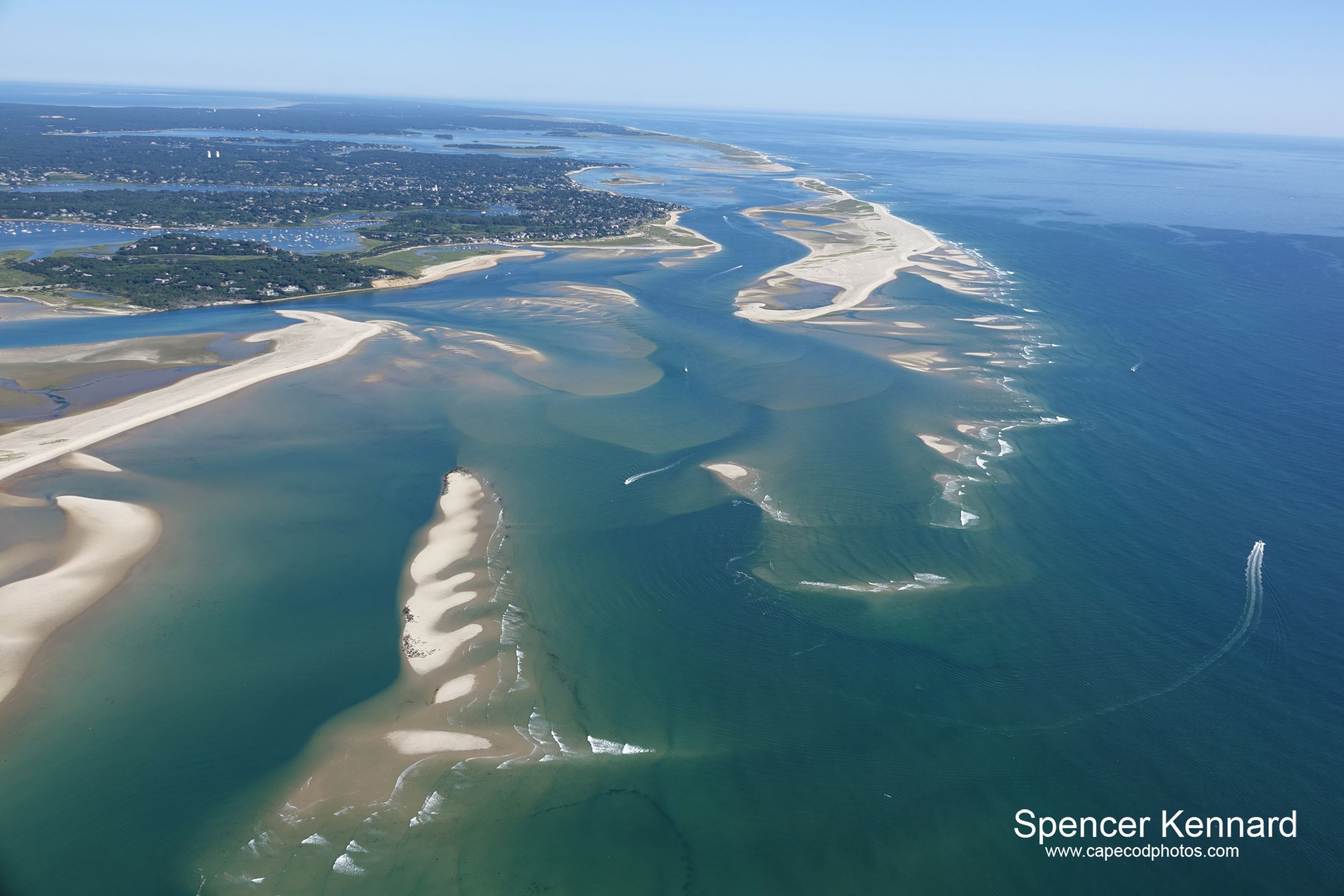 Seal Haul-out, Chatham Bar 