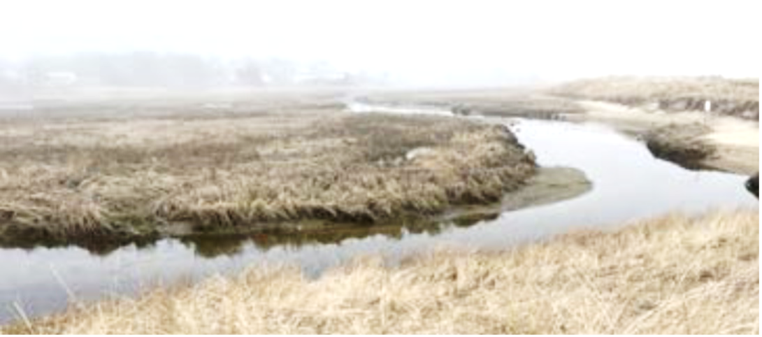 A photograph of a waterway in Chatham by Gerry Stahl